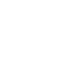 The Evolution of Checker Industrial